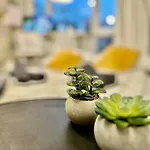 公寓 Cozy At Park Near City-center +netflix +wifi