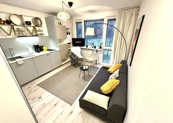 Cozy At Park Near City-center +netflix +wifi *