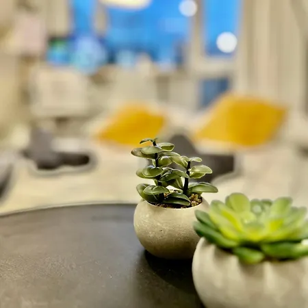 アパート Cozy At Park Near City-center +netflix +wifi