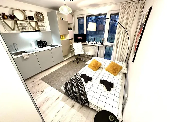 Cozy At Park Near City-center +netflix +wifi 公寓 华沙