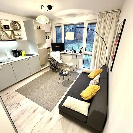 Cozy At Park Near City-center +netflix +wifi *